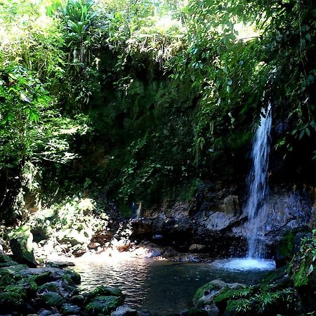 Misahualli Amazon Lodge Tena Luaran gambar