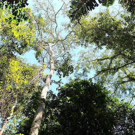 Misahualli Amazon Lodge Tena Luaran gambar