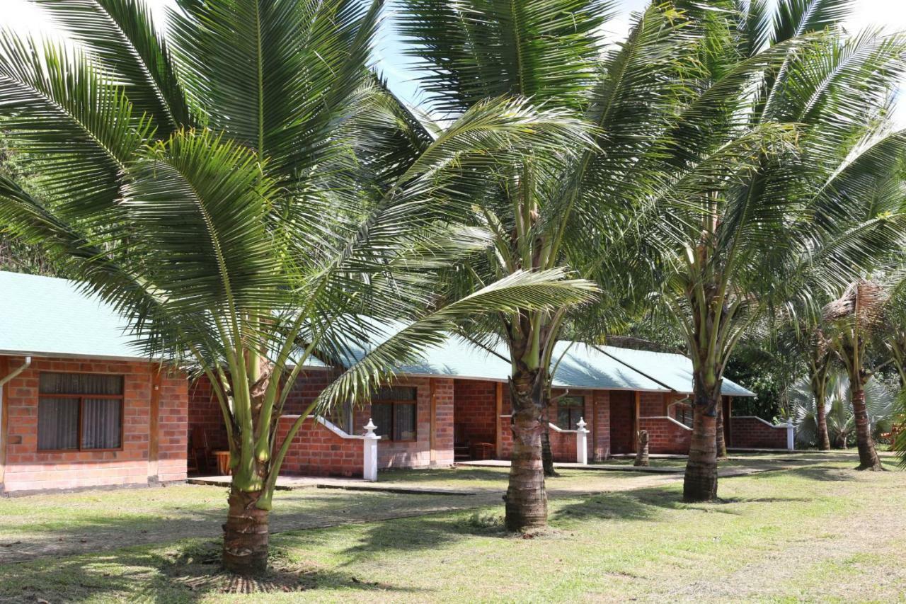 Misahualli Amazon Lodge Tena Luaran gambar