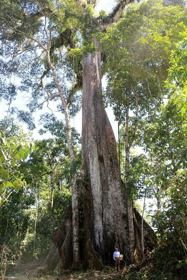 Misahualli Amazon Lodge Tena Luaran gambar