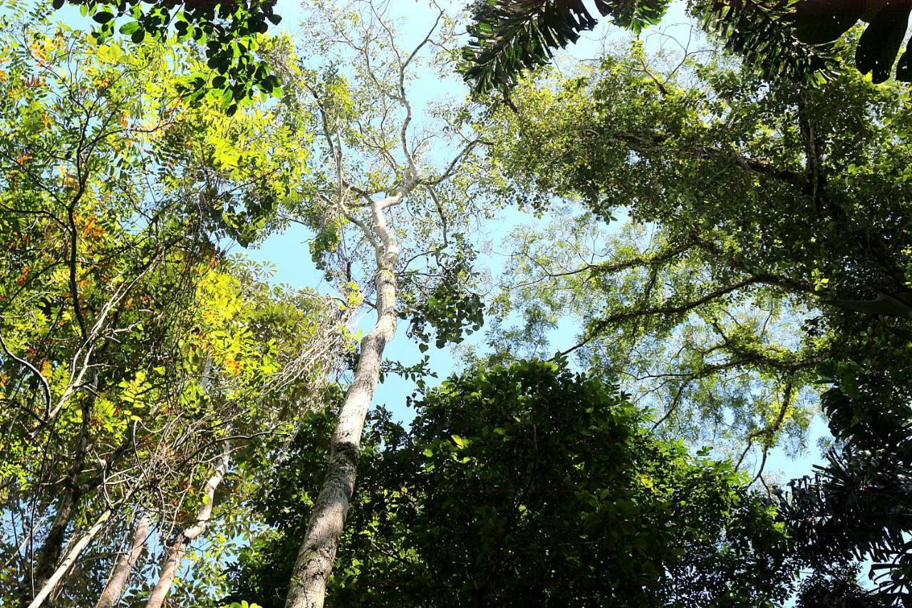 Misahualli Amazon Lodge Tena Luaran gambar
